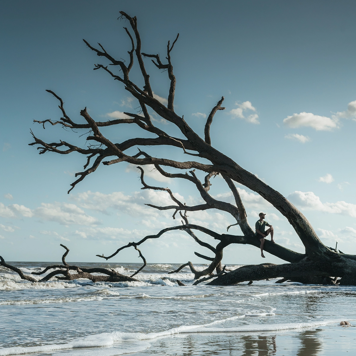 Botany Bay Jk