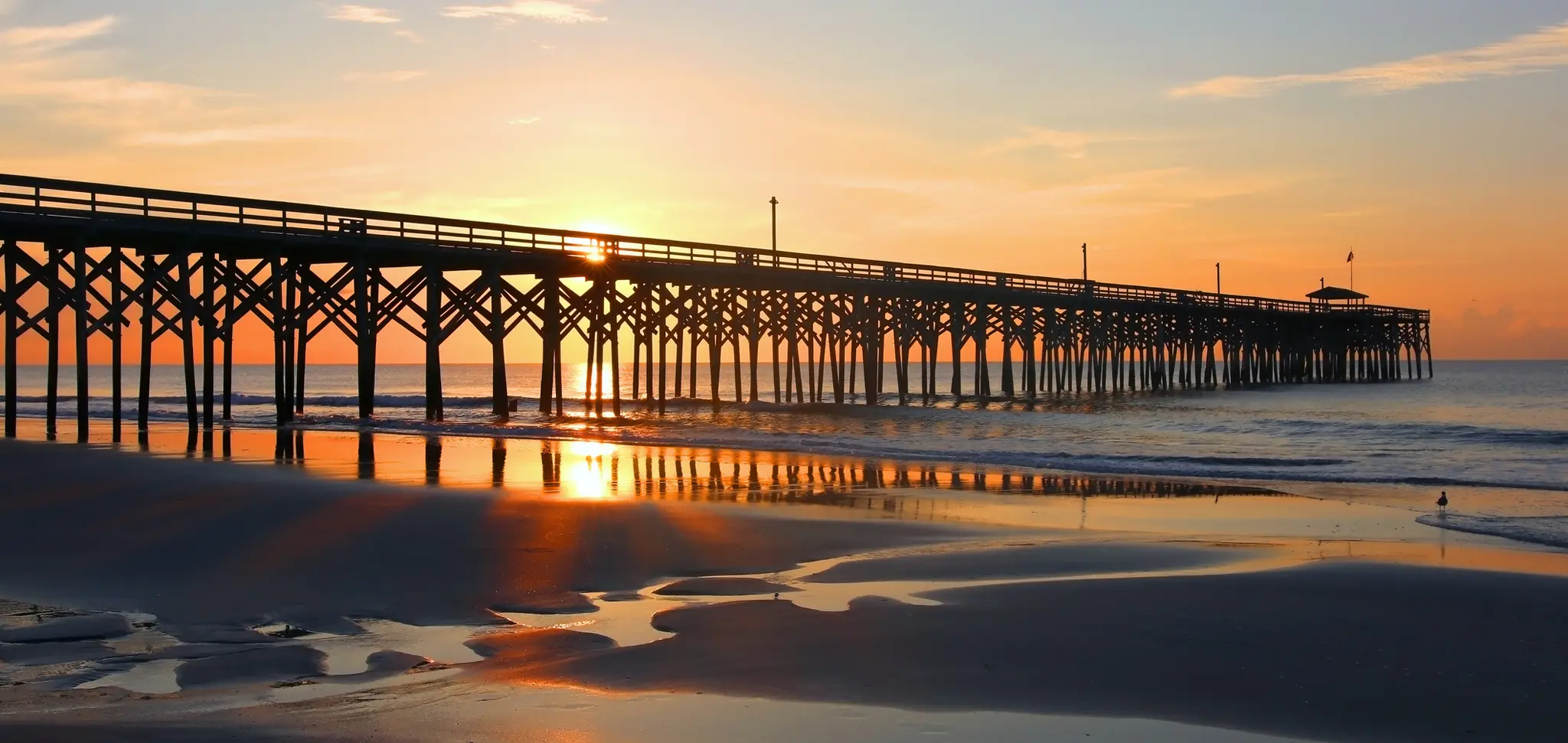 Pawley02